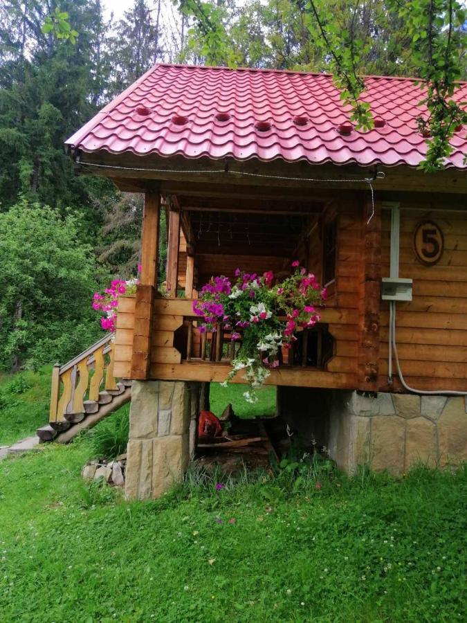 Микулин Хутірець Mikuliczyn Zewnętrze zdjęcie